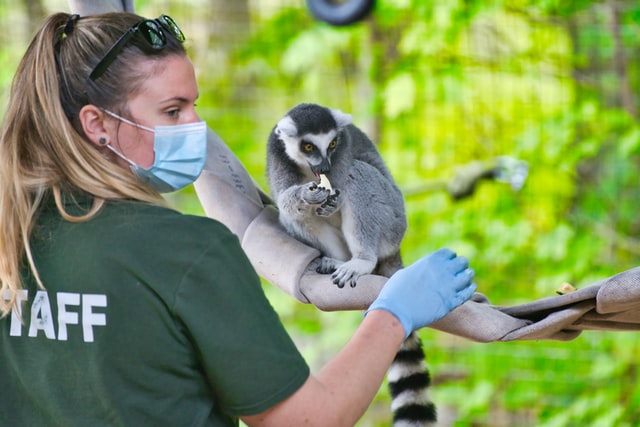 Australia Zoo Job 2022 1