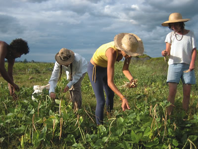 farm jobs in europe for foreigners