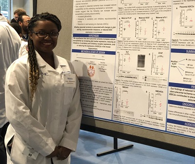 phd neuroscience