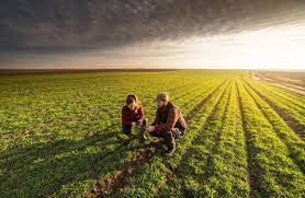 Farm Work In Canada For South Africa