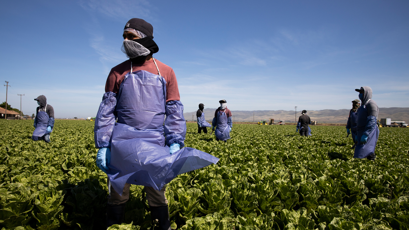 Farm jobs UK no