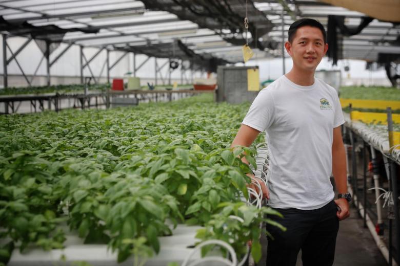 Urban Farming Jobs Singapore 1