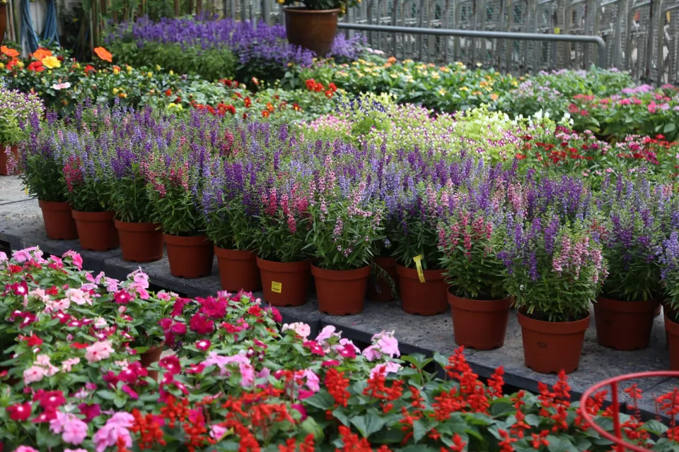 plant nursery jobs singapore