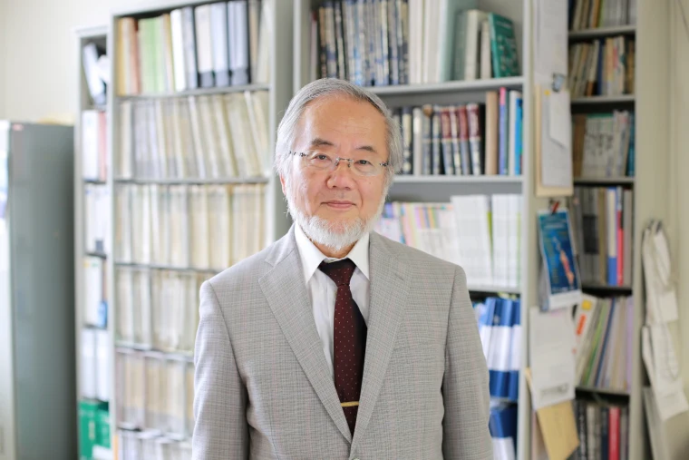 assistant professor in japan