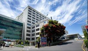 Auckland Government Jobs 2025/2026 Apply Now! 1 Auckland Government Jobs