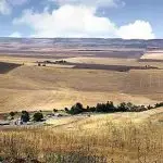 Farm Equipment Operator 1 Farm equipment operator