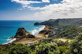 Jobs In West Auckland 2025/2026 Apply Now! 1 Jobs In West Auckland