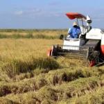 Milagre Farms Limited