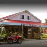 Farm worker, General 1 FERME DU RUISSEAU FLEURY INC