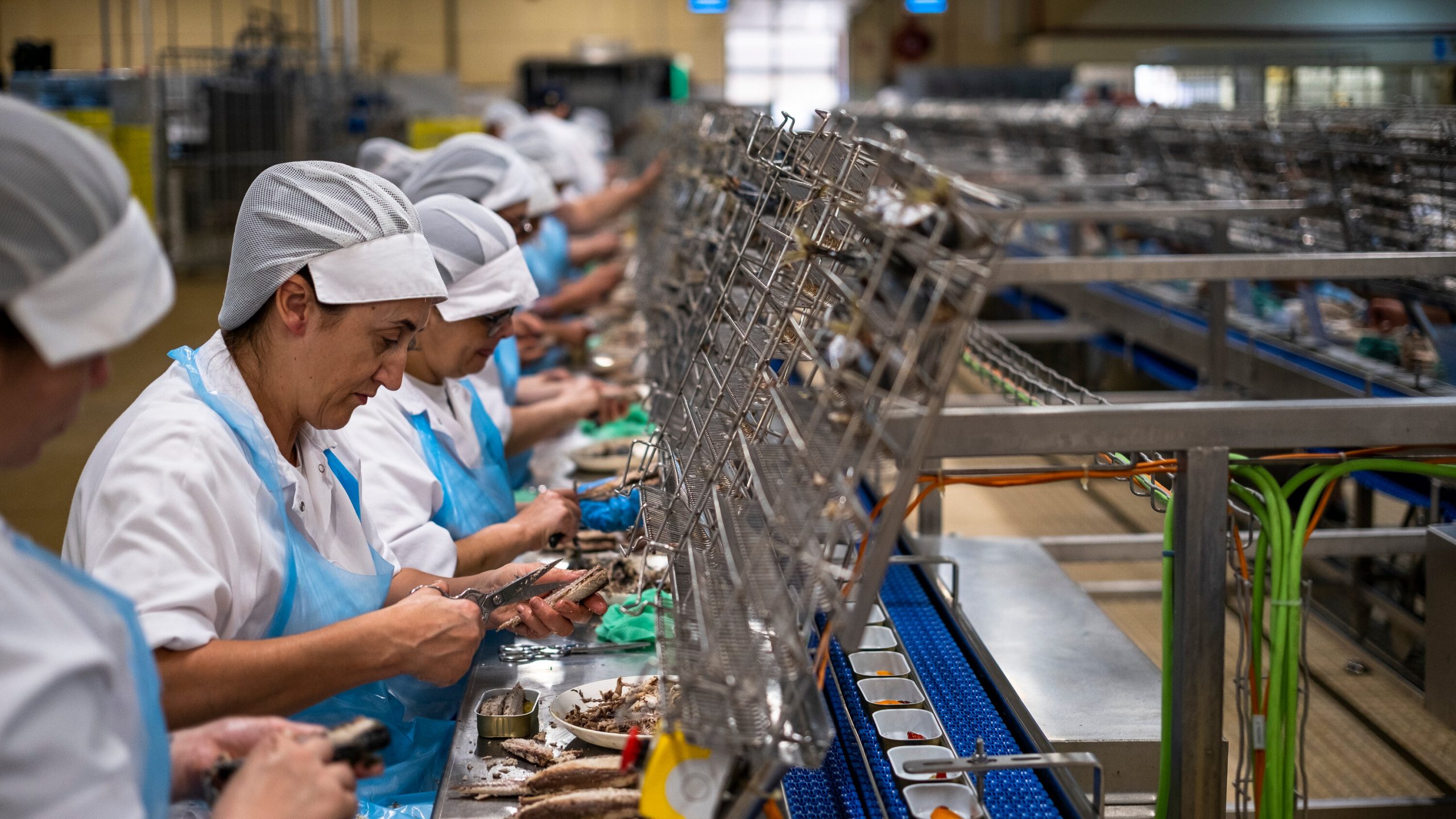 factory jobs in portugal for foreigners scaled