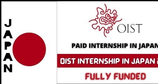 Paid Internship In Japan For International Students 2025/2026 Apply Now! 1 paid internship in japan for international students e1656691010135