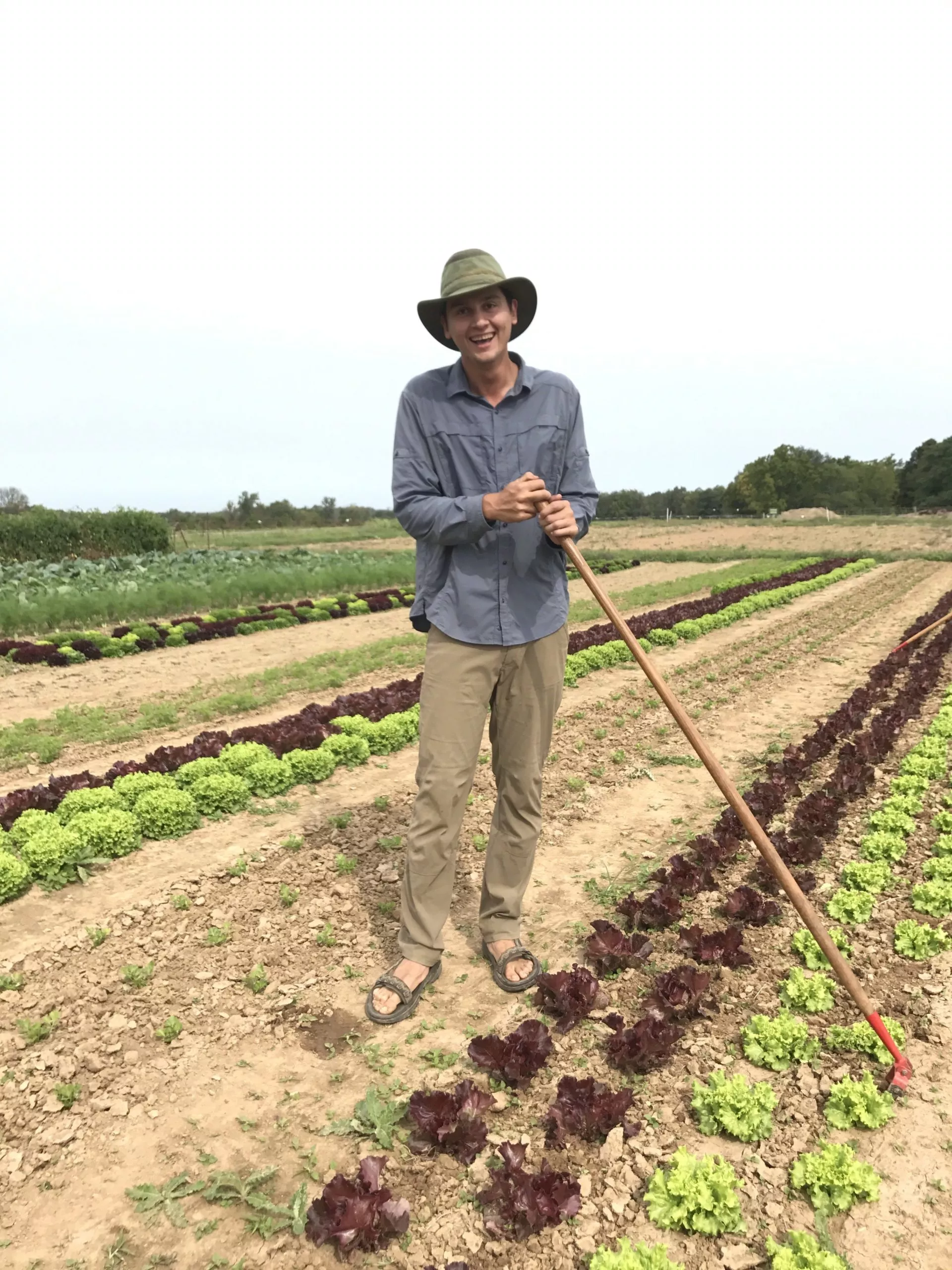Farm Jobs Kentucky 2025/2026 Apply Now! 1 Farm Jobs In Kentucky