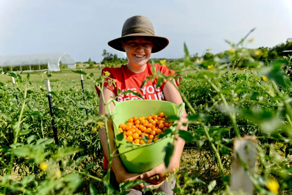 Farm Jobs In North Carolina