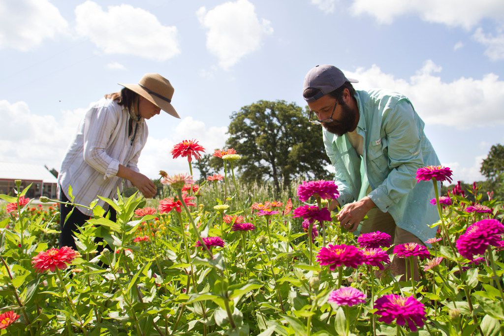 Farm Jobs In Texas