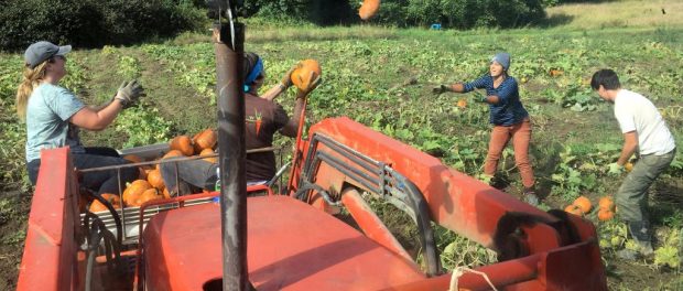Farm Jobs In Washington