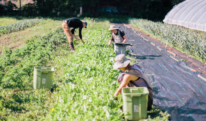 Farm Jobs Kansas