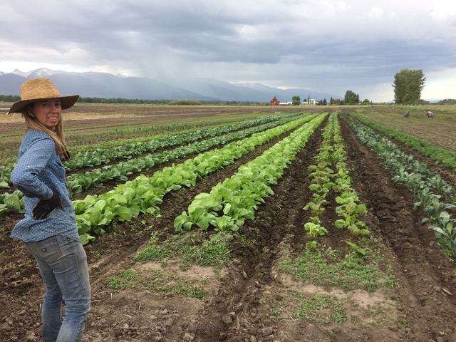 Farm Jobs Montana
