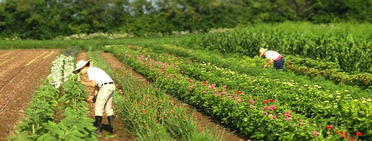 Farm Jobs Ohio