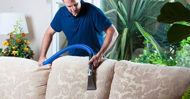 Job St Petersburg Cleaner 2 Times In A Week