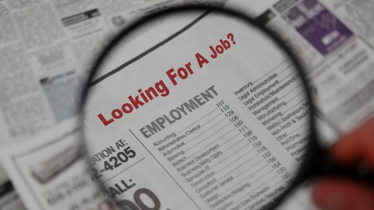 Jobs in Denver Colorado Without Papers 2025/2026 APPLY NOW! 1 Job in Denver Colorado Without Paper