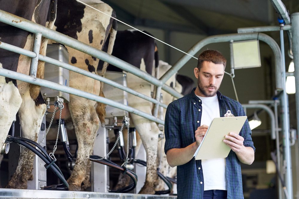 Livestock Jobs In Texas 2025/2026 Apply Now! 1 Livestock Jobs In Texas