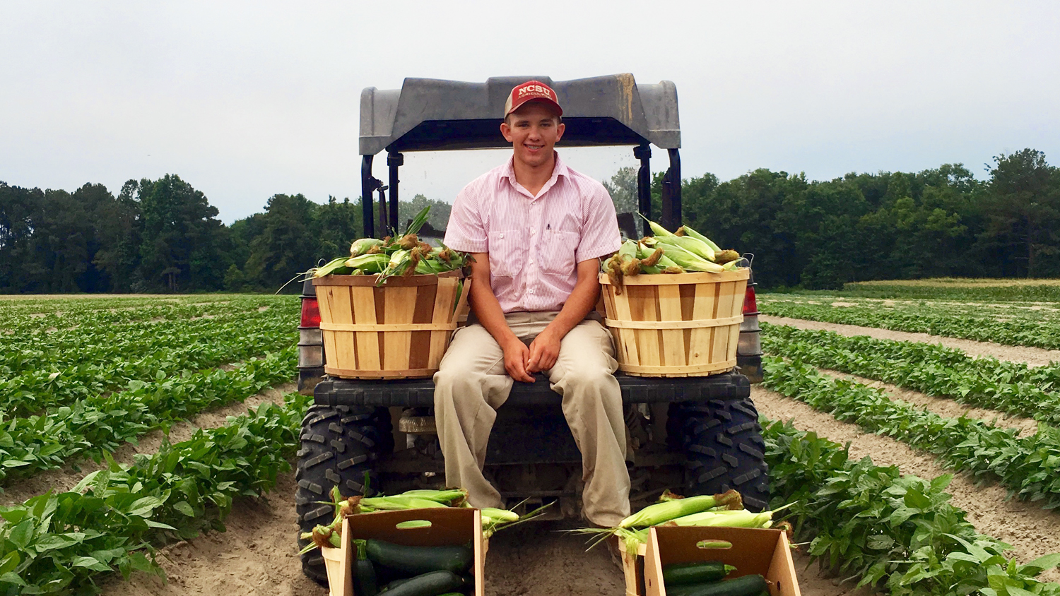 North Carolina Department Of Agriculture Jobs 2025/2026 Apply Now! 1 North Carolina Department Of Agriculture Jobs
