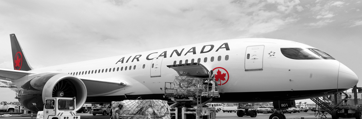 Air Canada Jobs Dorval 2025/2026 Apply Now!! 1 air canada jobs dorval