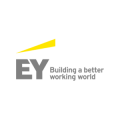 Senior Manager - Business Tax Advisory 1 EY - Saudi Arabia
