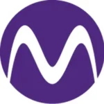 Civil Engineer 1 Magnox