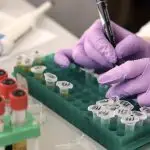 Research Assistant (Testing) 1 Lifework