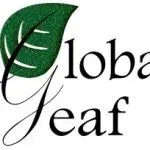 Korean / Business Manager (Personnel, General Affairs, Accounting, Finance) 1 Global Leaf