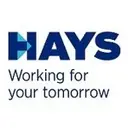Finance Officer - Regulatory Reporting in foreign bank 1 Hays Accountancy & Finance Hong Kong