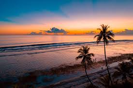Jobs In Costa Rica For American Citizens