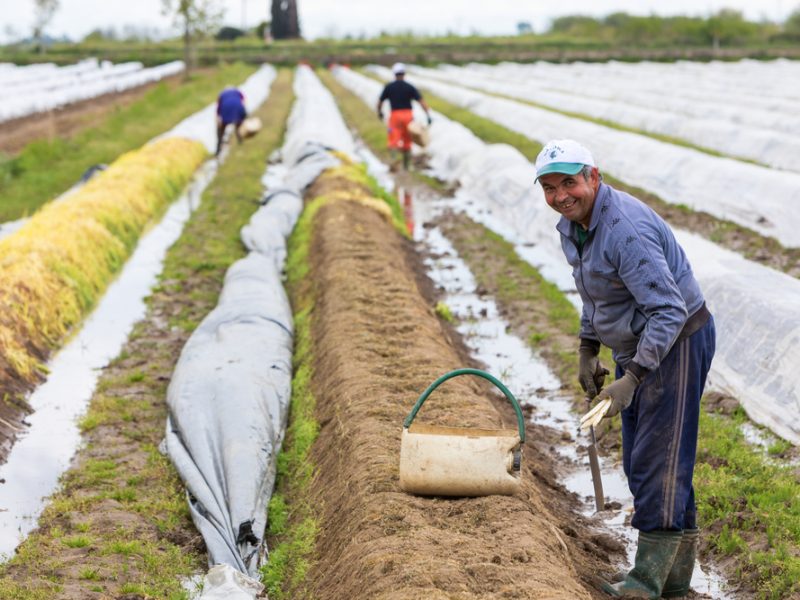 Farm Jobs In Poland