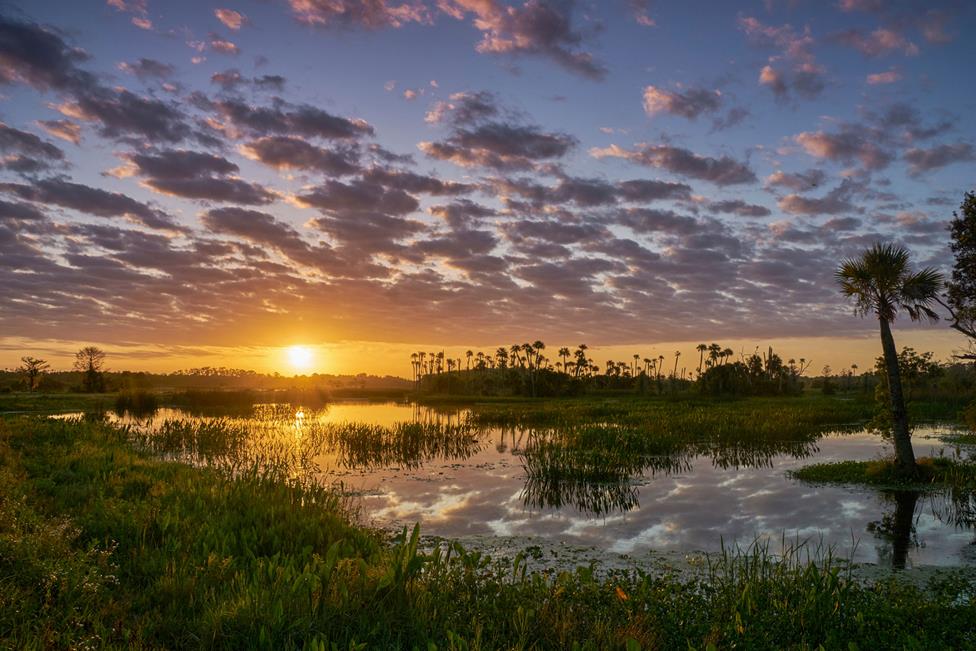 Jobs In Kissimmee For Hispanics