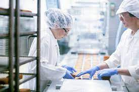 factory jobs in new zealand