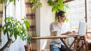 Work Remote jobs in Rotterdam
